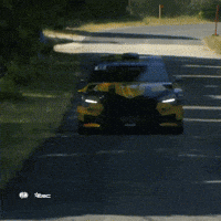 Erc GIF by FIA European Rally Championship