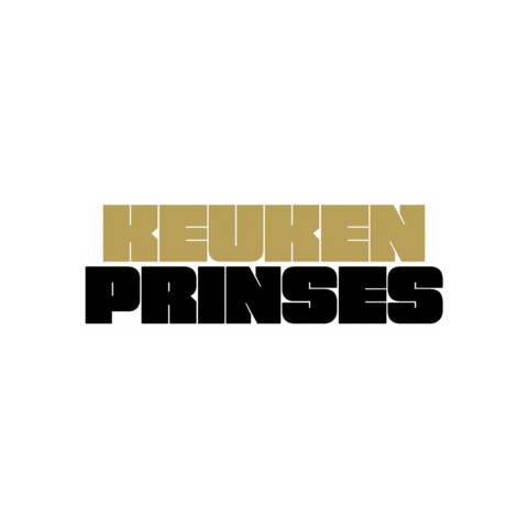 House Gold Sticker by VloerenBaas