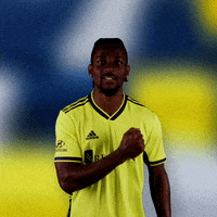 Major League Soccer Football GIF by Nashville SC