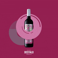 Vinho Verde Ferias GIF by Destalo Wine