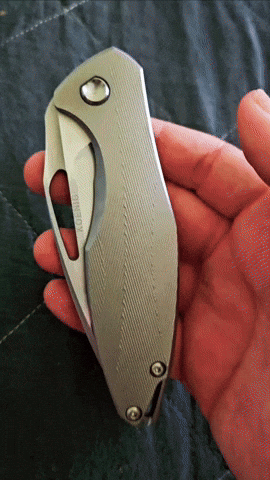 nilknarf1 koenig arius flipper delete GIF