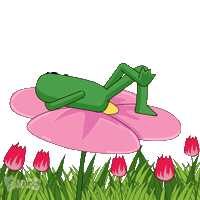 Sweet Dreams Frog Sticker by fwogs