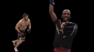 Khabib Nurmagomedov Ufc GIF by Guitarjamz