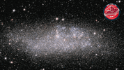 Zooming Space Travel GIF by ESA Webb Space Telescope