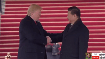 zheng zhi GIF