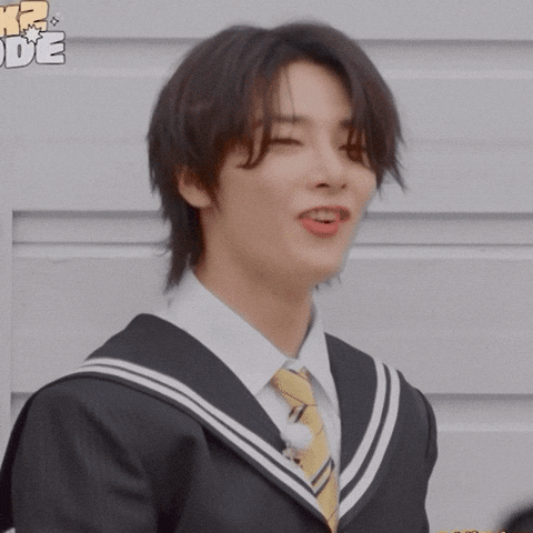 Stray Kids Skz GIF
