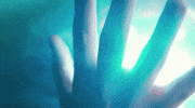 white fang GIF by Burger Records