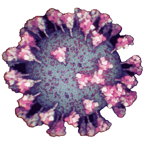 Nanographics giphyupload corona nanographics nanographicsat Sticker