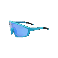Eyewear Sticker by VOICE SPORTS
