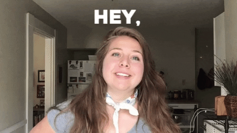 BDN_sschipani giphygifmaker GIF