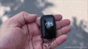 Driving Lets Go GIF by Namaste Car