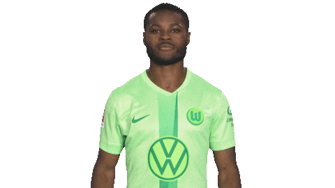 Germany Win Sticker by VfL Wolfsburg