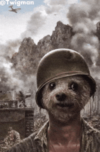 Thousand Yard Stare Rain GIF