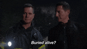 911 On Fox GIF by FOX TV