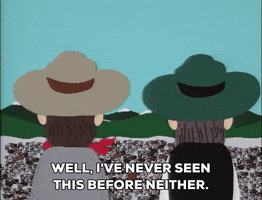 GIF by South Park 