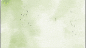darienrfisher art animation film music video GIF