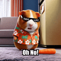 Oh No Pet GIF by Guinea Gambino