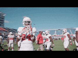 florida atlantic ring GIF