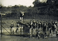 texasarchive texas swimming diving dive GIF
