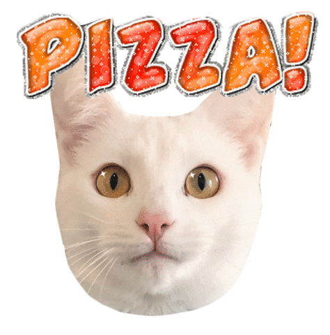 Cat Pizza Sticker