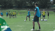 GIF by SV Werder Bremen