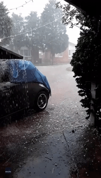 Best to Stay Indoors: Sydney Resident Watches Hailstones Rain Down on Car