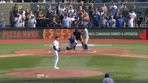 Blue Jays Win GIF by Toronto Blue Jays