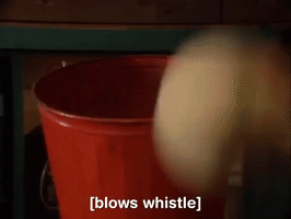 salute your shorts nicksplat GIF