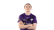 Cricket Wbbl Sticker by Hobart Hurricanes