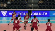 Happy Go For It GIF by Volleyball World