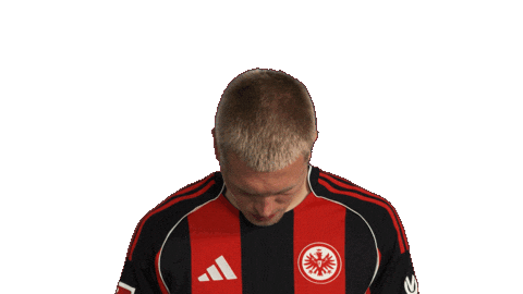 Look Up Eintracht Frankfurt Sticker by Bundesliga