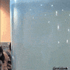 seal deal with it GIF