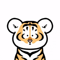 Cat What GIF by Bu2ma