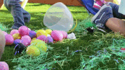 easter GIF