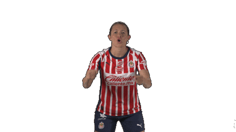 Liga Mx Futbol Sticker by Chivas Oficial