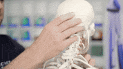 Yoga Pose GIF by YOGABODY