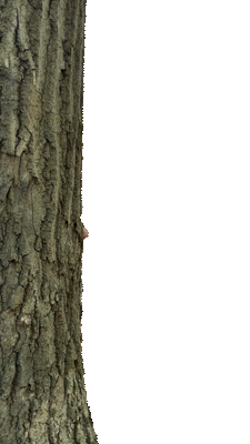 Pending Turn Around Sticker by Disc Golf Brah