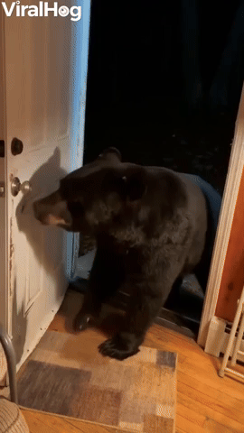 Bear Politely Closes Door