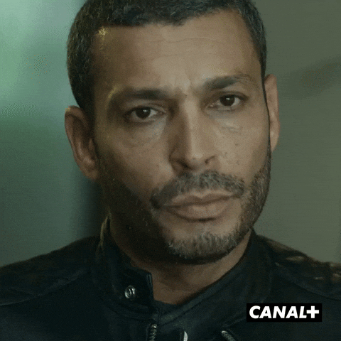 Boss Lol GIF by CANAL+