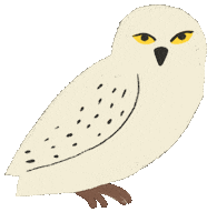 Harry Potter Sticker by Catalina Williams