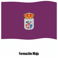 Flag Spain GIF by Formación Ninja