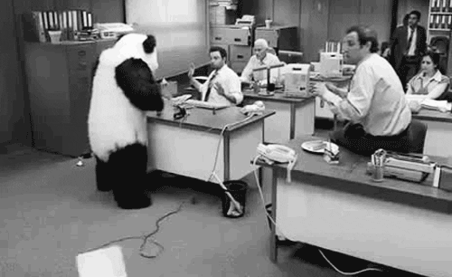 office panda GIF