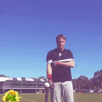 hitting home run GIF by Laser Power Swing Trainer
