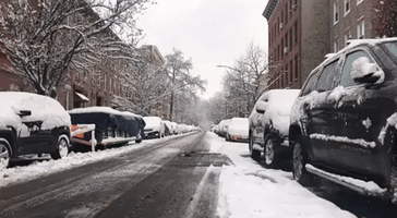 New York City Coated by Overnight Snowstorm