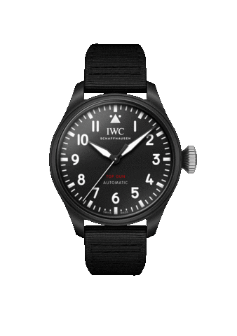 Iwcwatches Sticker by IWC Schaffhausen