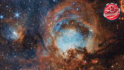 Celebration Nasa GIF by ESA Webb Space Telescope
