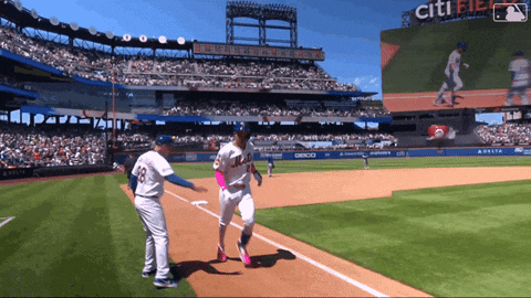 Celebrate Mothers Day GIF by New York Mets