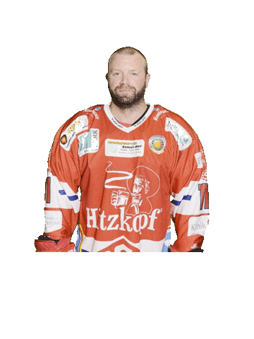 Hockey Sticker by dsc-eishockey