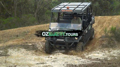 OzBuggy_Tours giphyupload atv tours queensland GIF