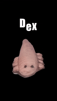 Dex GIF